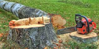 Reliable Gerber, CA Tree Care Solutions